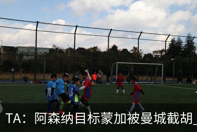 TA：阿森纳目标蒙加被曼城截胡 厄德高没与其他球队达协议
